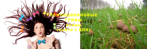 метадон Каменногорск