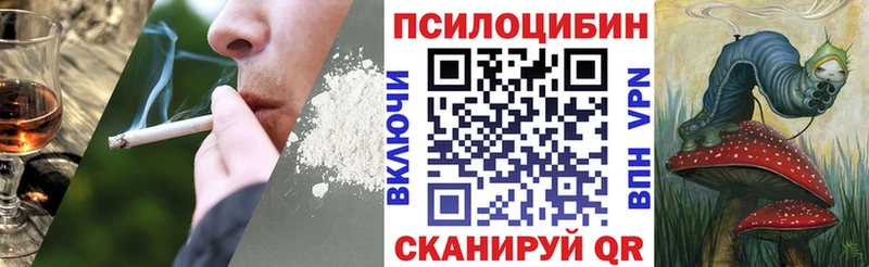 Купить  Красноярск  Галлюциногенные грибы Cubensis 